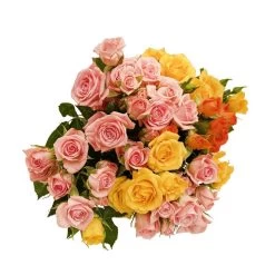 Botte De Roses Branchues - 5 Tiges : Coloris Variables