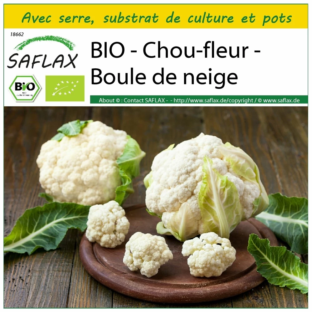 Kit De Culture - Bio - Chou-fleur - Boule De Neige - 70 Graines - Brassica Oleracea Var. Botrytis