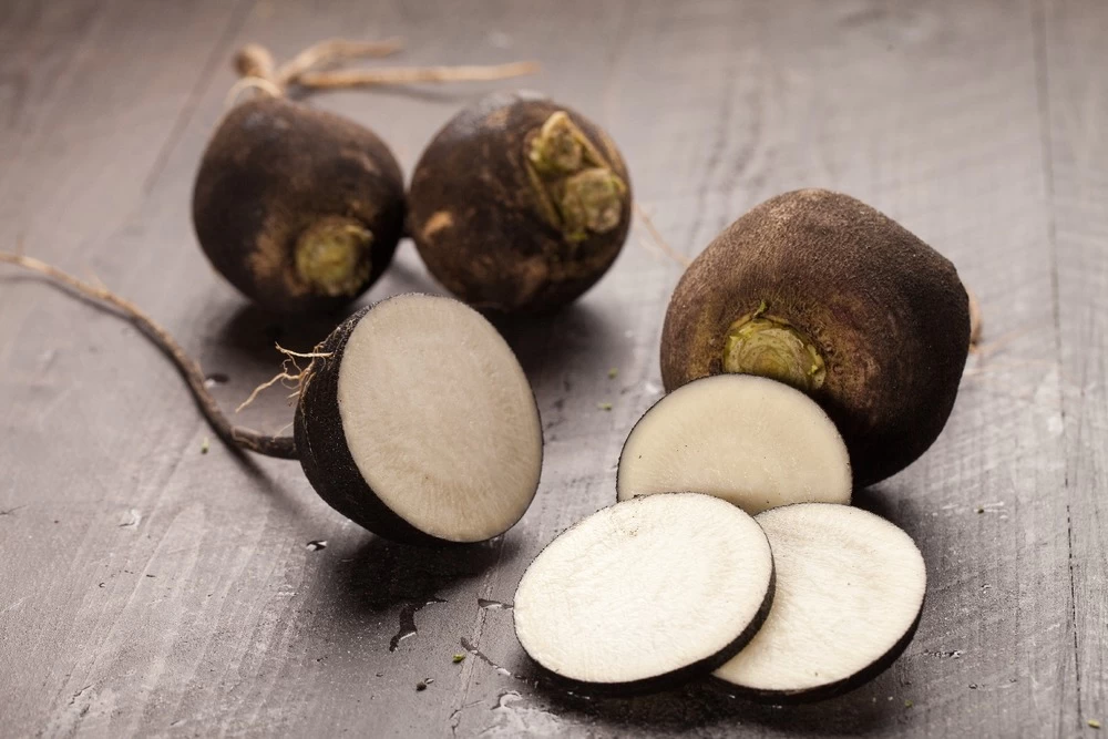 Kit De Culture - Bio - Radis - Noir - 100 Graines - Raphanus Sativus – Image 5