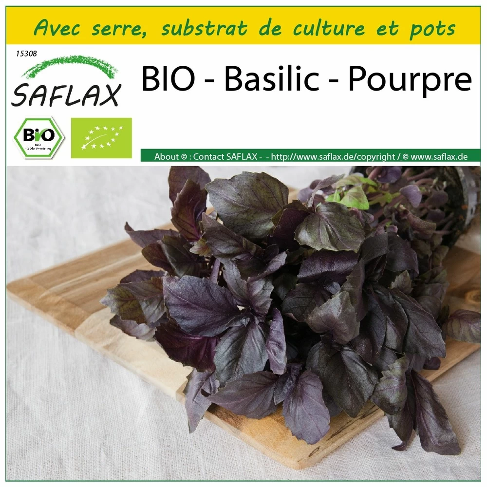 Kit De Culture - Bio - Basilic - Pourpre - 400 Graines - Ocimum Basilicum