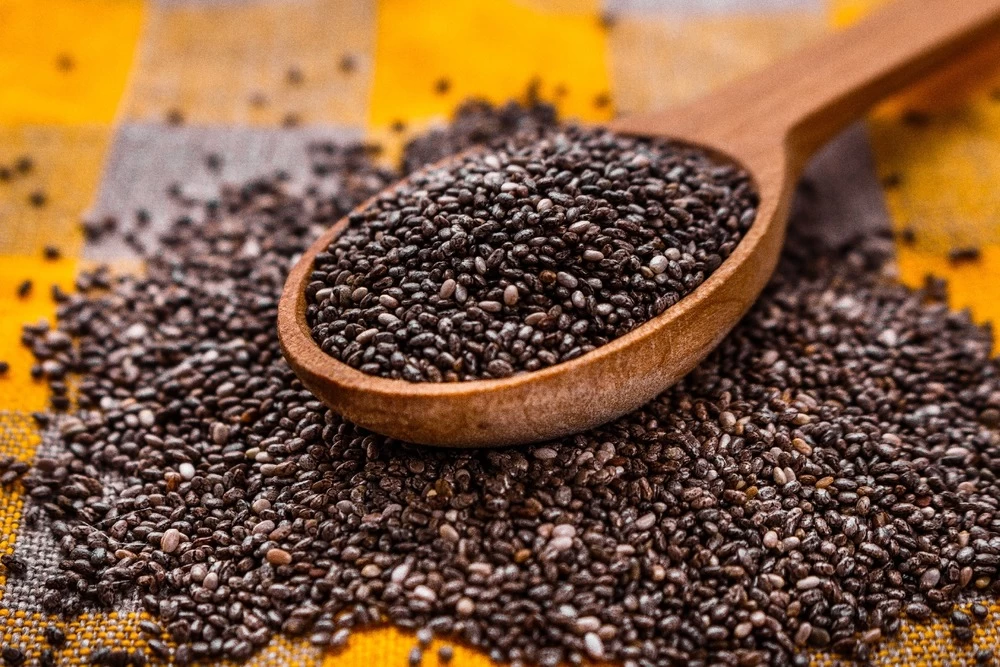 Kit De Culture - Bio - Sauge - 60 Graines - Salvia Officinalis – Image 7