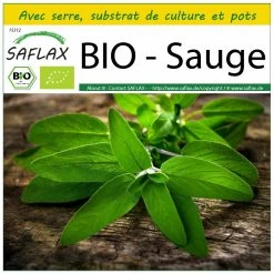 Kit De Culture - Bio - Sauge - 60 Graines - Salvia Officinalis