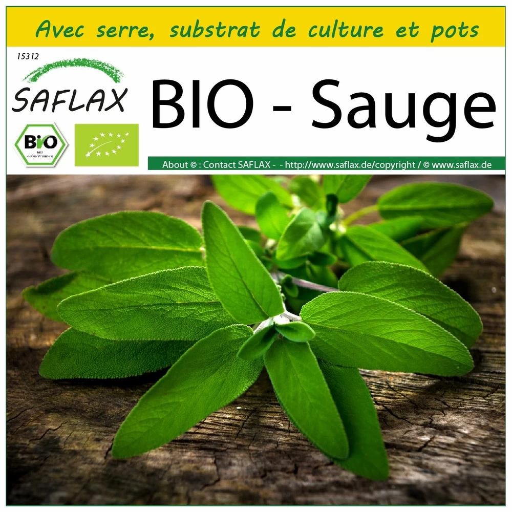 Kit De Culture - Bio - Sauge - 60 Graines - Salvia Officinalis