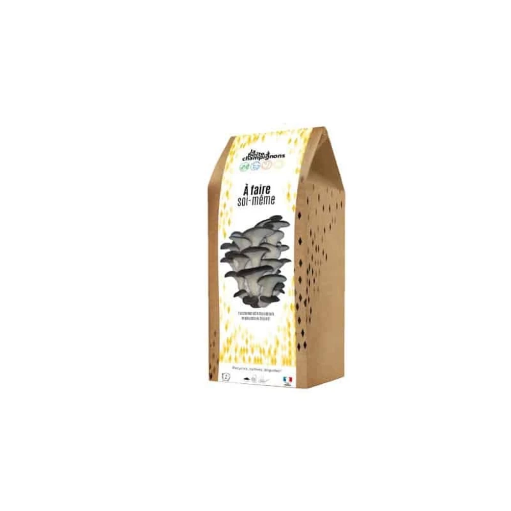 Kit Champignons Boite à Faire Soi-même
