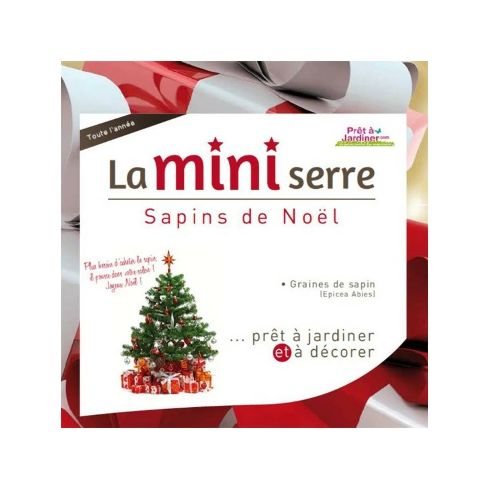 Mini Serre 6 Pots Sapins De NoĂ«l â Image 3