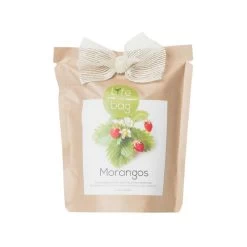 Kit Bio Prêt à Pousser Fraise