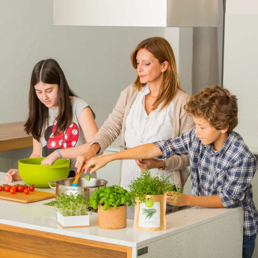 Kit Bio Prêt à Pousser Fraise – Image 2