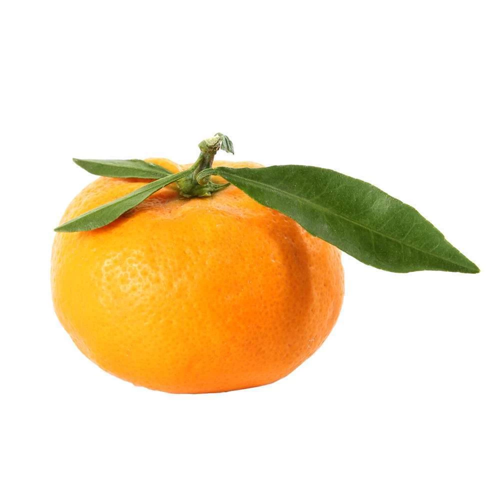 Mandarinier : C3L, Agriculture Biologique – Image 6