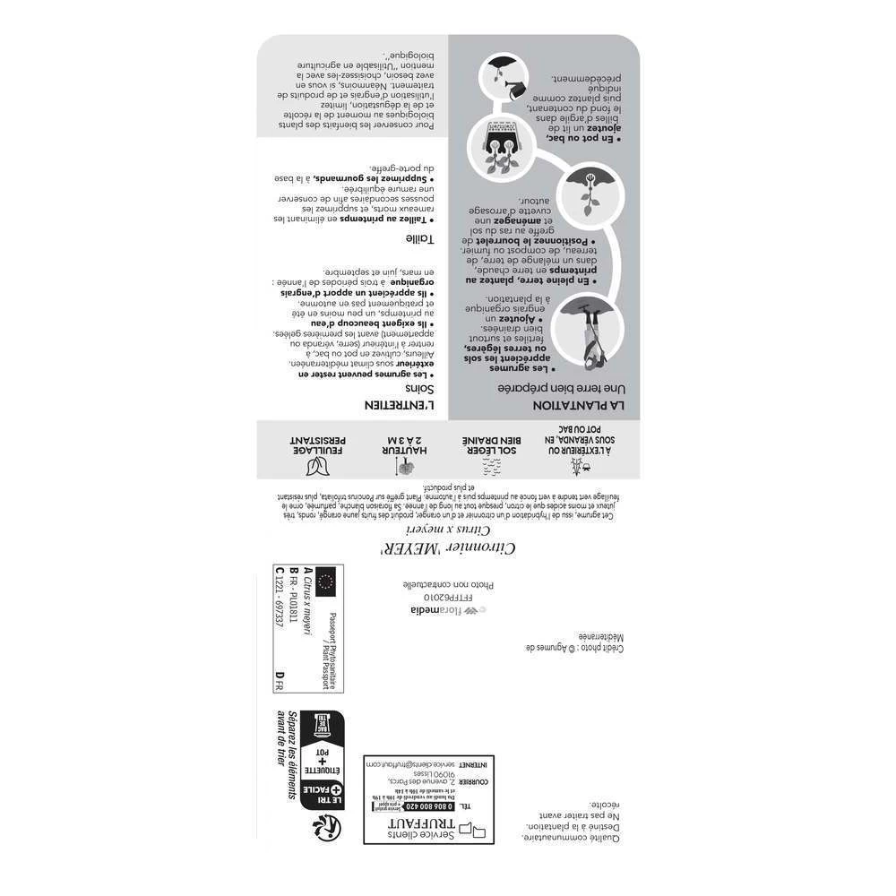 Citronnier X Meyer : AB C3L – Image 2