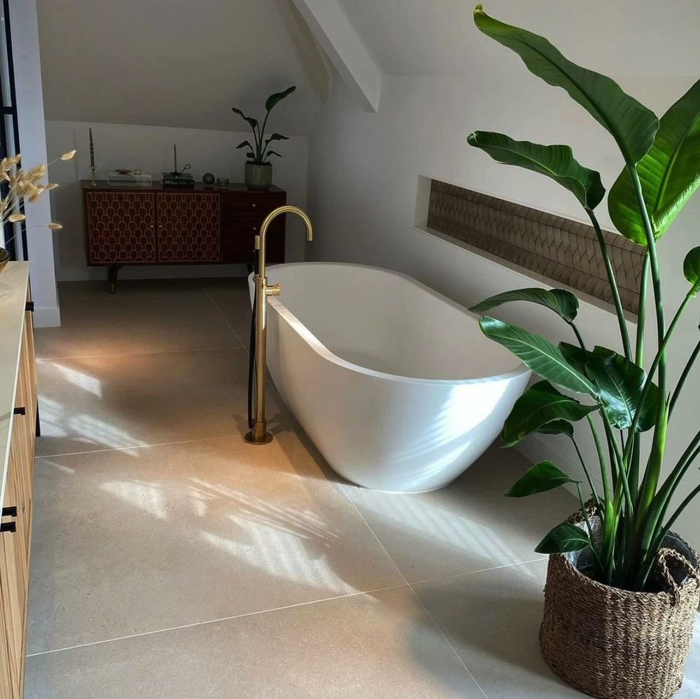 Strelitzia Nicolai Xxl - H180cm, ø24cm - Très Grande Plante D'intérieur – Image 4