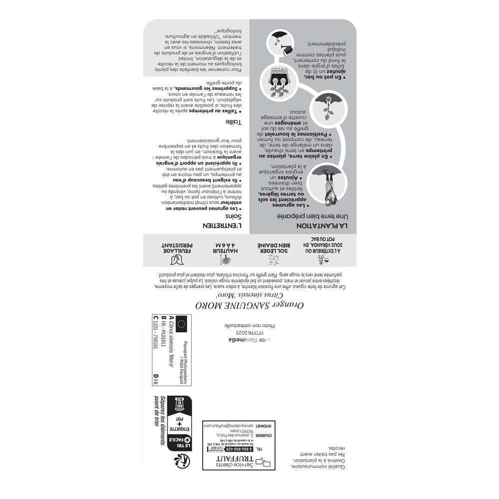 Oranger Moro : AB C3L – Image 3