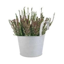 Pot En Zinc Avec Crochet Et Bruyère