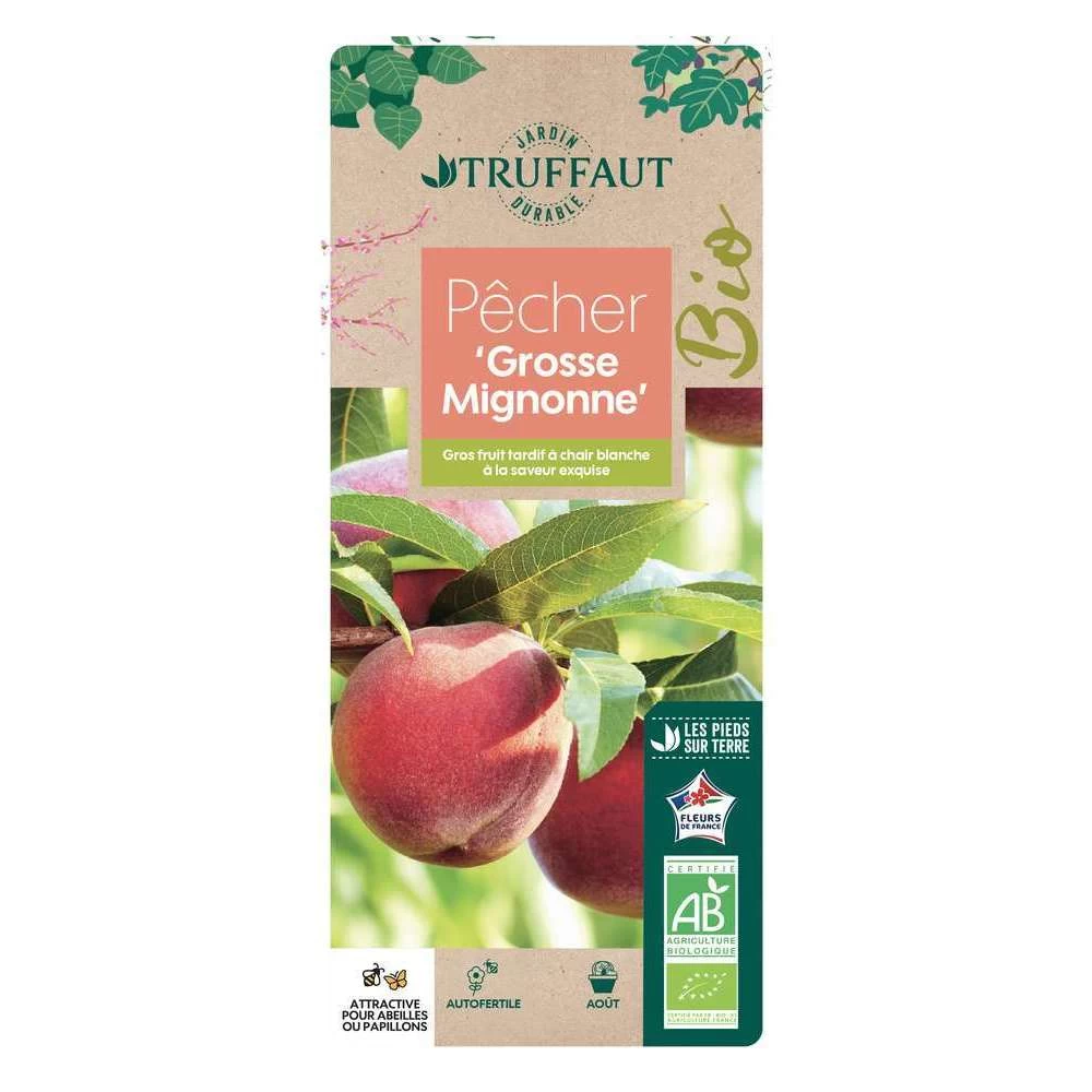 PĂŞcher Grosse Mignonne Bio, Gobelet 2 Ans